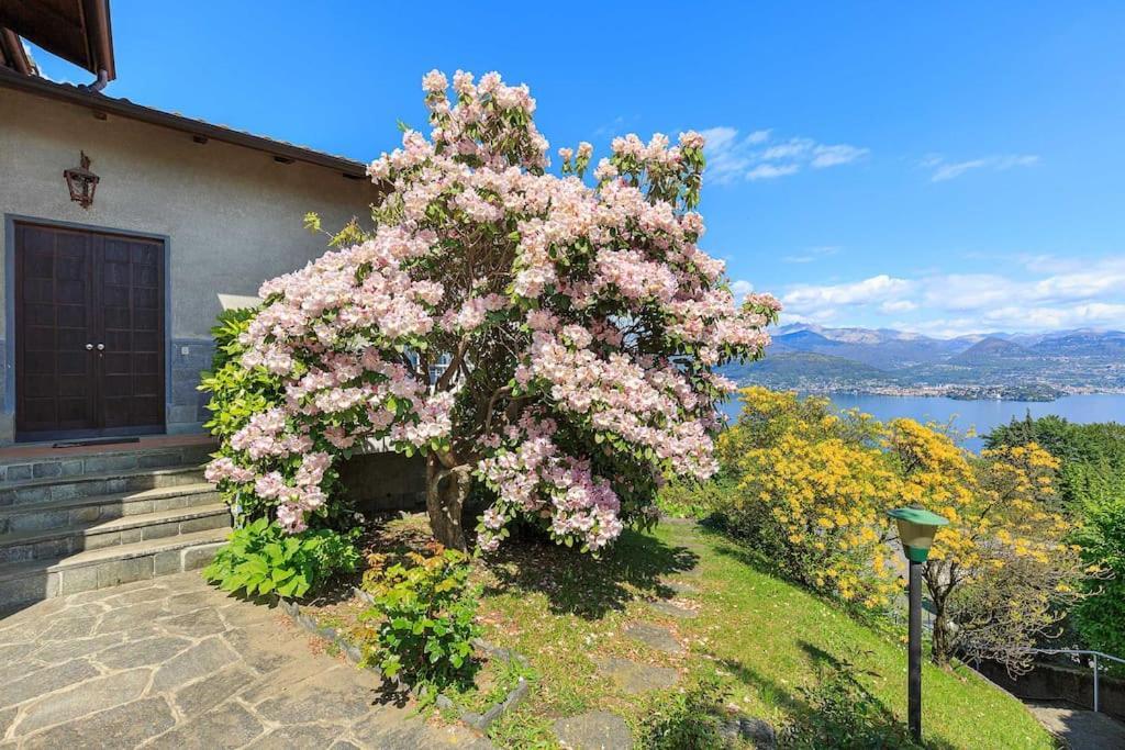 Lovely With Amazing Views! - Casa Laura Casa vacanze Stresa